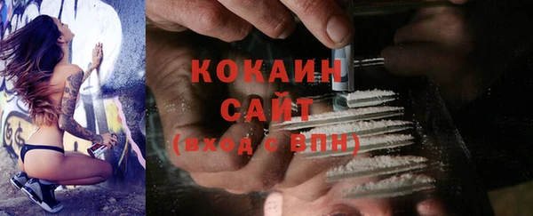 тгк Дмитров