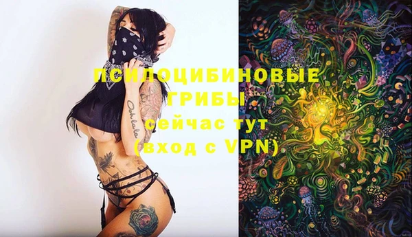 ешки Дмитровск