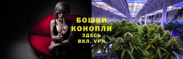 тгк Дмитров