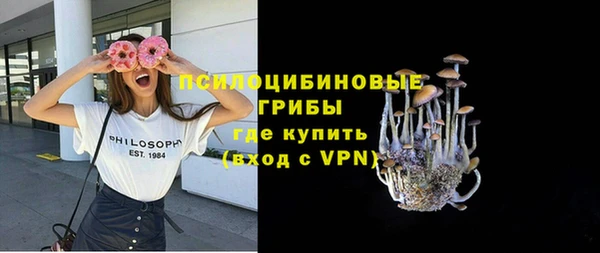 ешки Дмитровск