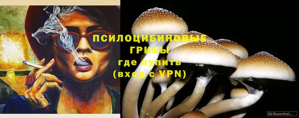 ешки Дмитровск