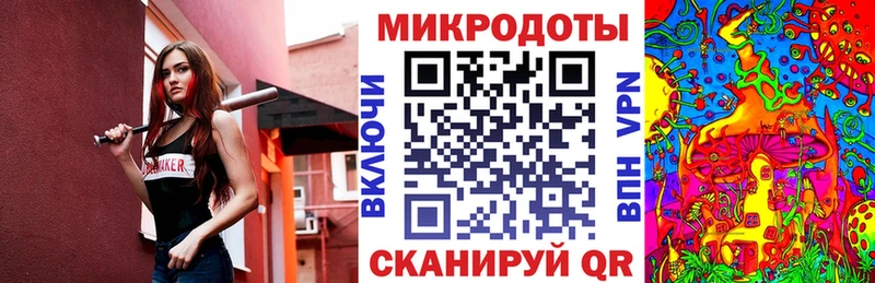 продажа наркотиков  блэк спрут рабочий сайт  Галлюциногенные грибы Psilocybe  Новомосковск 